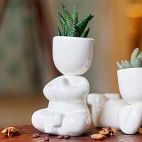 набор для выращивания eco йог в Якутске