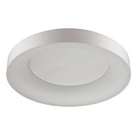 потолочный светодиодный светильник odeon light sole 4062/80cl в Якутске