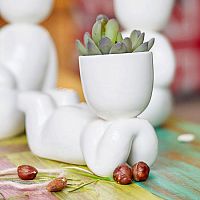 набор для выращивания eco мечтатель в Якутске