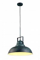 подвесной светильник arte lamp martin a5213sp-1bg в Якутске