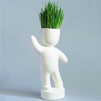 набор для выращивания eco победитель в Якутске