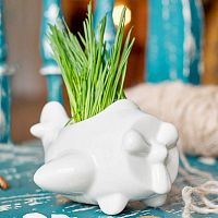 набор для выращивания eco самолет в Якутске