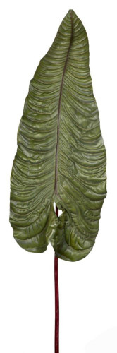 декор alocasia в Якутске