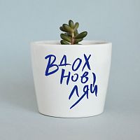 набор для выращивания eco мини-кашпо «вдохновляй» в Якутске