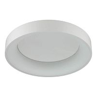 потолочный светодиодный светильник odeon light sole 4062/40cl в Якутске