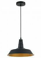 подвесной светильник odeon light kasl 3378/1 в Якутске