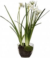 декор allium в Якутске