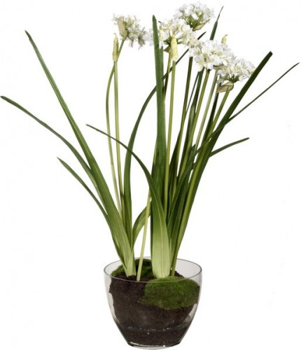 декор allium в Якутске