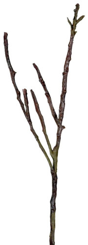 декор dry branches в Якутске