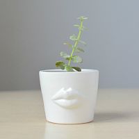 набор для выращивания eco мини-кашпо «губы» в Якутске