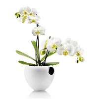 горшок для орхидеи orchid pot белый в Якутске