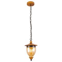 подвесной светильник arte lamp catena a6711sp-1br в Якутске