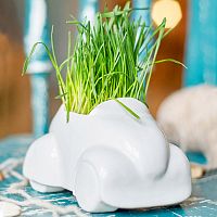 набор для выращивания eco машина в Якутске