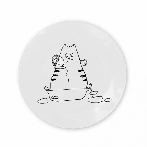 тарелка кот-водолей в Якутске