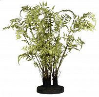 декор ferns в Якутске