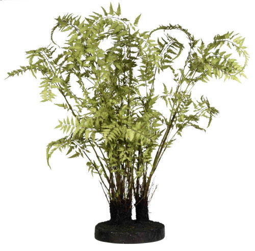 декор ferns в Якутске
