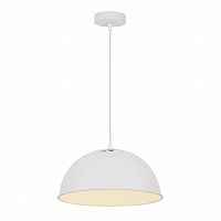 подвесной светильник arte lamp buratto a8173sp-1wh в Якутске