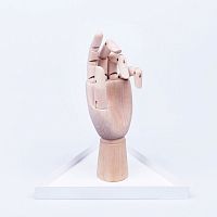органайзер для украшений the hand белый в Якутске
