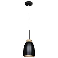 подвесной светильник loft it restor loft4402a-bl в Якутске