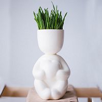 набор для выращивания eco романтик в Якутске