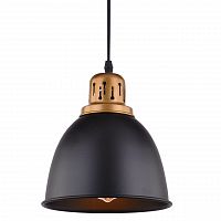 подвесной светильник arte lamp eurica a4245sp-1bk в Якутске