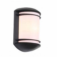 уличный настенный светильник st luce agio sl076.401.01 в Якутске