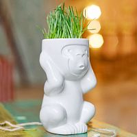 горшок для растений eco игнорик в Якутске
