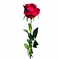 роза бордовая 71 см (24) в Якутске