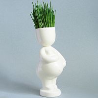 набор для выращивания eco мама в Якутске