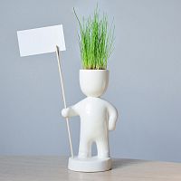 набор для выращивания eco знаменосец в Якутске