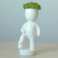 набор для выращивания eco футболист в Якутске