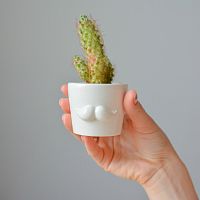 набор для выращивания eco мини-кашпо «усы» в Якутске
