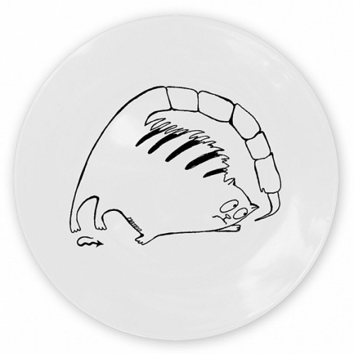 кот-скорпион в Якутске