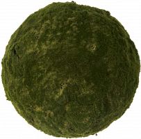 декор moss sun в Якутске