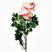 пион розовый 62 см (12) в Якутске