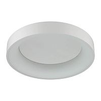 потолочный светодиодный светильник odeon light sole 4062/50cl в Якутске