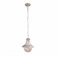 уличный подвесной светильник arte lamp amsterdam a1523so-1wg в Якутске